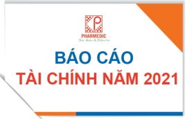 Báo cáo tài chính năm 2021