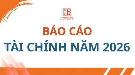 Báo cáo tài chính năm 2026