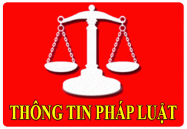 Thông tư 15/2019/NĐ-CP Thông tư quy định việc đấu thầu thuốc tại các cơ sở y tế công lập