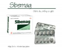 SIBEMAG